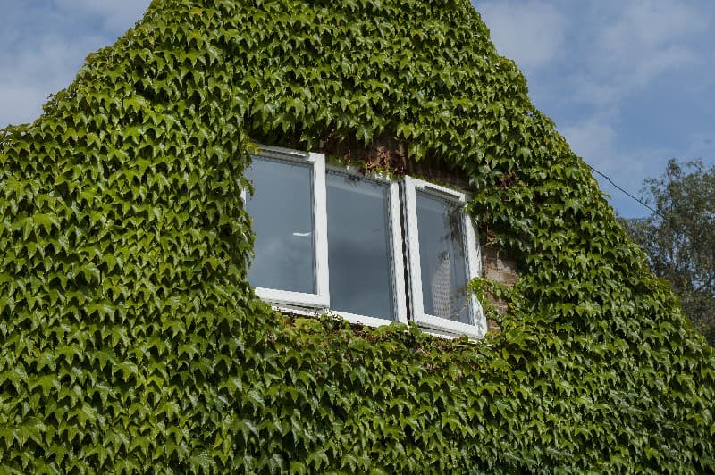 Windows Manufactured In Devon | M&S Windows